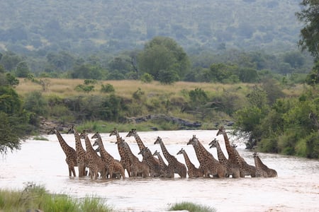 7 Maasai warrior in Africa. Tribe, Diani beach