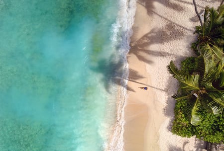 6 Seychelles famous shark beach - aerial photo
