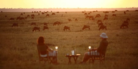 6 A game drive safari, Kenya's Maasai Mara National Park.