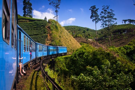 6 Panorama of the tea plantations at sunset - Sri Pada peak in the background