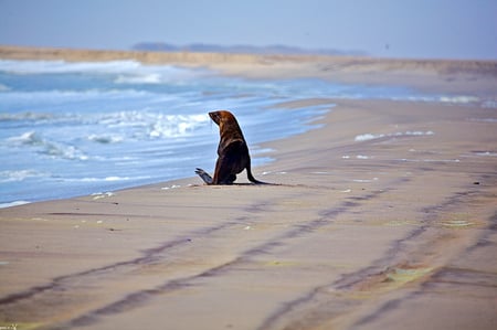 6 Skeleton Coast Namibia