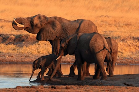 6 Victoria falls, Zimbabwe