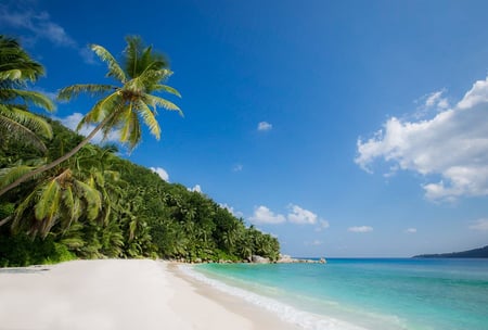 7 Seychelles famous shark beach - aerial photo