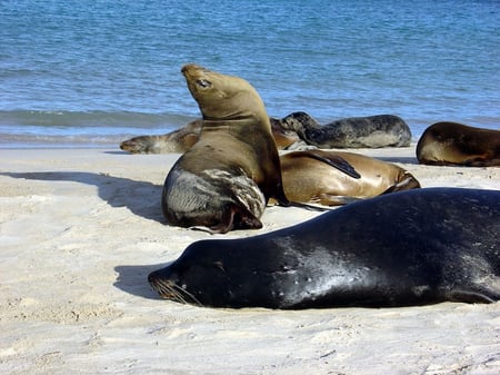 7 Southern Ecuador & the Galapagos