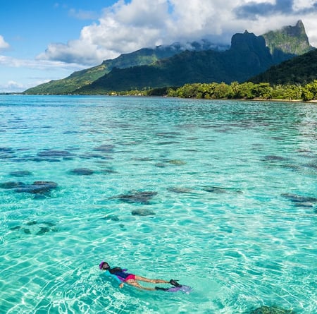 3 humpback whale calf in clear blue waters, French Polynesia