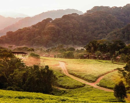 8 Volcanoes National Park, Rwanda