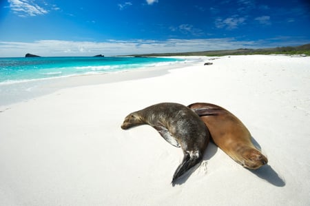 8 Southern Ecuador & the Galapagos