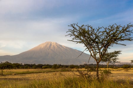 2 Three giraffe on Kilimanjaro mount background in National park of Kenya, Africa