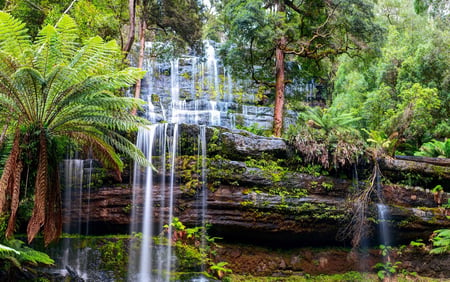 9 Mountain Cradlle National Park in Tasmania. Mirror reflections in peaceful still waters of lake Dove