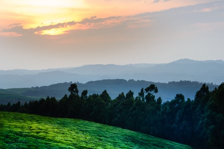 9 Volcanoes National Park, Rwanda