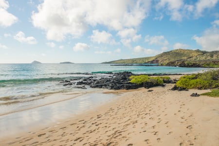 9 Southern Ecuador & the Galapagos