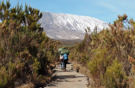 6 Three giraffe on Kilimanjaro mount background in National park of Kenya, Africa