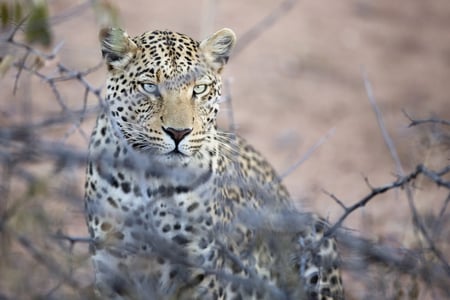 10 Skeleton Coast Namibia