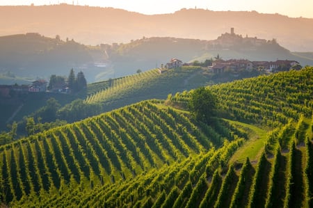 2 Tuscany landscape at sunrise. Typical for the region tuscan farm house, hills, vineyard. Italy