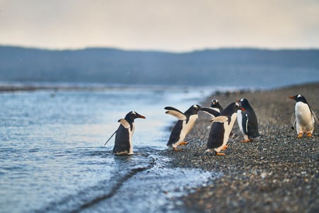 2 Beautiful landscape and scenery in Antarctica