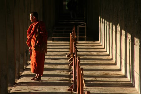 1 Cambodia, Ang Kor Wat, Monkeys