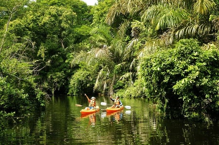 4 nature in osa peninsula costa rica