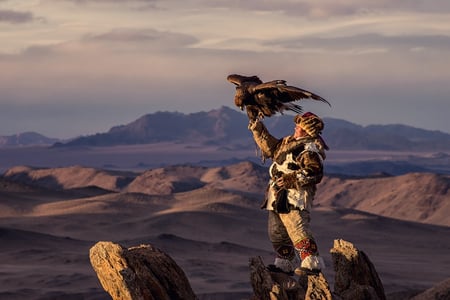 6 Kazakh Eagle Hunter in using trained golden eagles. Olgei,Western Mongolia