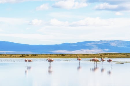 4 Patagonia, Chile - Torres del Paine and Lago Pehoe, in the Southern Patagonian Ice Field, Magellanes Region of South America