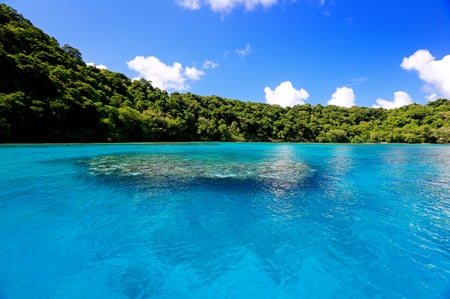 8-9 Island Hoping In Fiji | Australasia | Lightfoot Travel