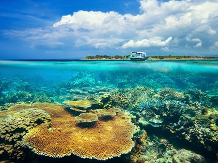 9 Azure beach and clear water of Indian ocean at sunny day. A view of a cliff in Bali Indonesia