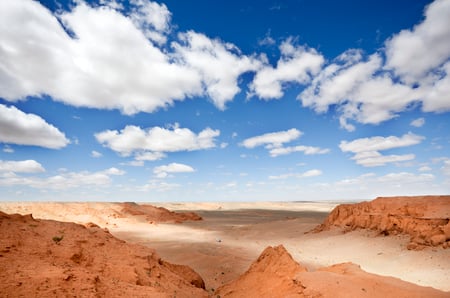 8 A caravan of camels resting in the sand of the Gobi Desert