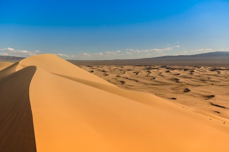 3 A caravan of camels resting in the sand of the Gobi Desert