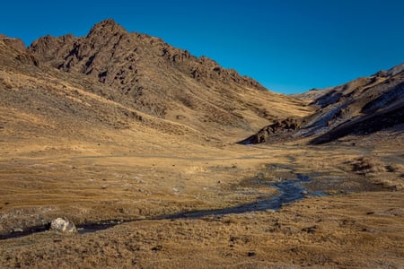 2 A caravan of camels resting in the sand of the Gobi Desert