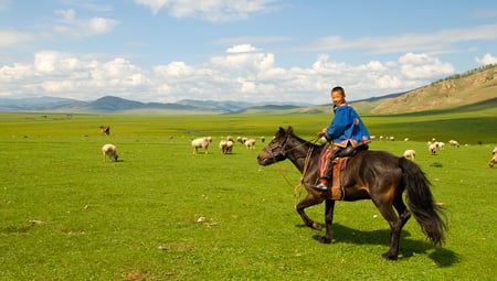 5 Kazakh Eagle Hunter in using trained golden eagles. Olgei,Western Mongolia