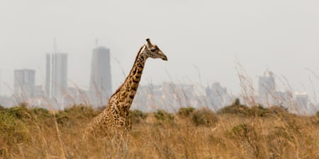 1 Turkana lake, Northern Kenya