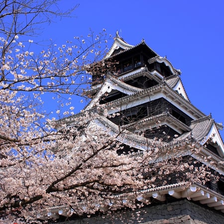 6 Kyoto, Japan at Toji Pagoda and lake in Autumn