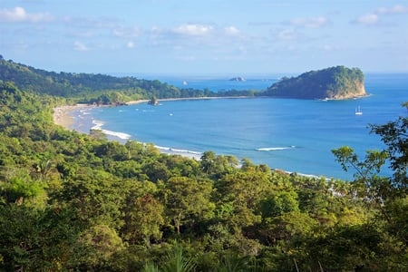 8 nature in osa peninsula costa rica