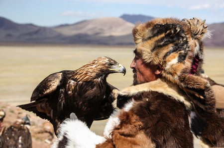 2 Kazakh Eagle Hunter in using trained golden eagles. Olgei,Western Mongolia