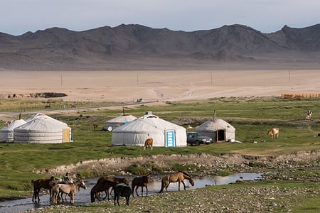 2 Mongolia_Hunting with Eagle