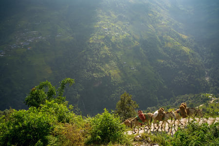 2 Valley of Kathmandu, Nepal during summer