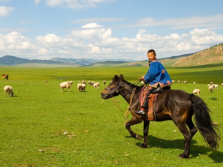 7 Mongolia for Families