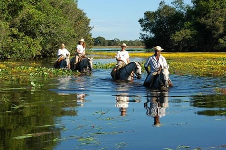 6 Jags-of-Pantanal-Banner-1