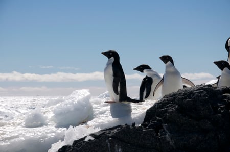 4 Beautiful landscape and scenery in Antarctica