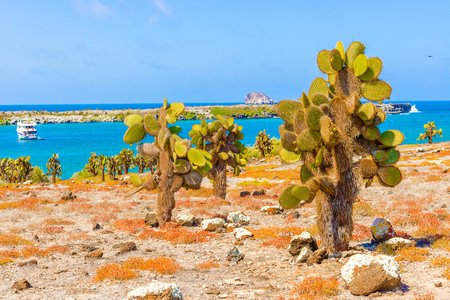 4 Island Hopping in the Galapagos | South America | Lightfoot Travel