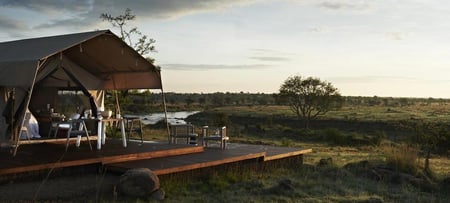 7 Cheetahs in the African savanna. Serengeti National Park. Tanzania. Africa.