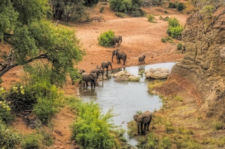 1 South Africa_Kruger National Park