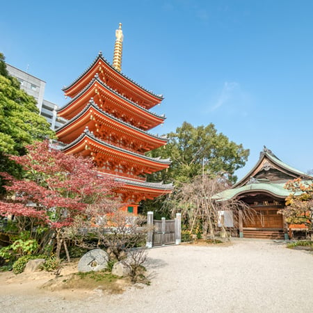 11 Kyoto, Japan at Toji Pagoda and lake in Autumn