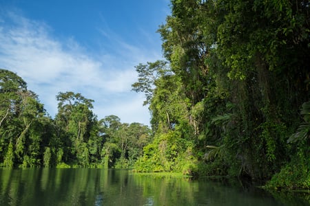 2 nature in osa peninsula costa rica