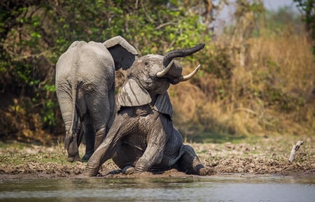 1 Lower Zambezi National Park. Zambezi River