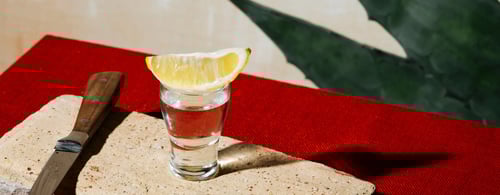 Tequila in Mexico on a culinary tour with Lightfoot Travel