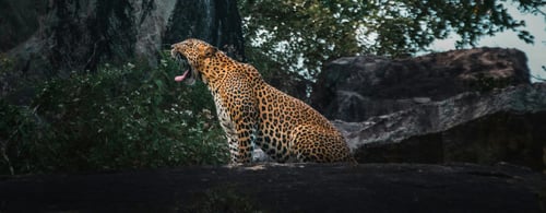 Sri Lanka adventures with Lightfoot Travel