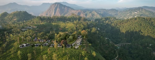 Hill plantations over Ella at Uga Ghiri