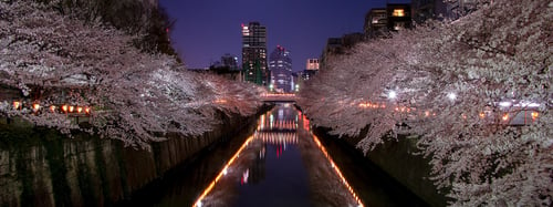 A Photographer's Take On Tokyo