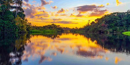 View of Amazon river and rainforest in Ecuador at sunset