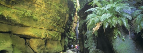Canyoning In The Blue Mountains